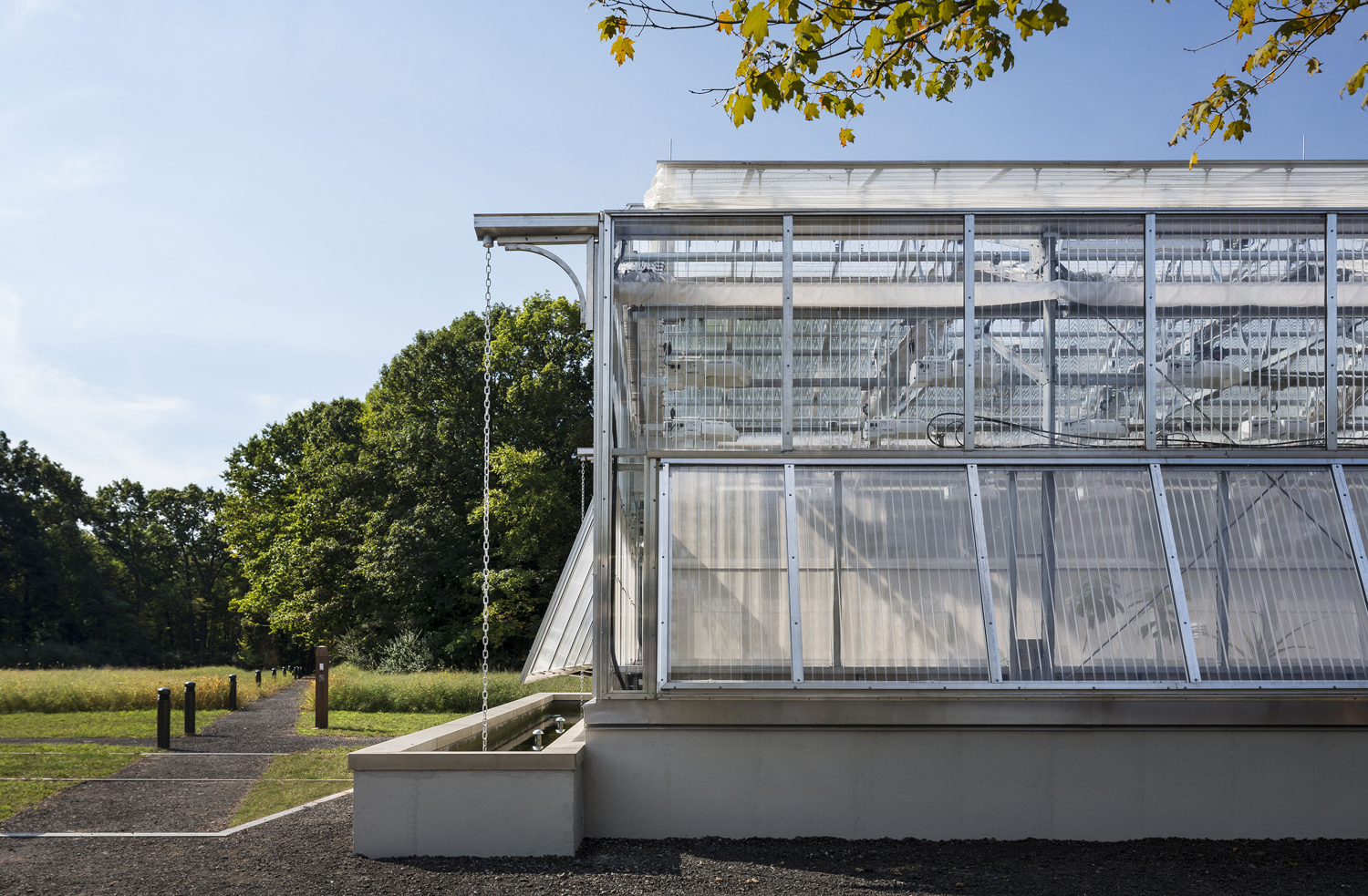 <p>A research-grade greenhouse, connected to classrooms, provides botanical study space and the opportunity to grow food year-round. A seasonal garden sits in the meadow for expanded production and programming. Rainwater collection systems supply greenhouse and garden irrigation.</p>
